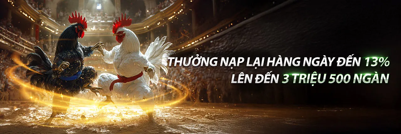 Hướng dẫn cá cược trực tuyến Win456 cho người mới bắt đầu